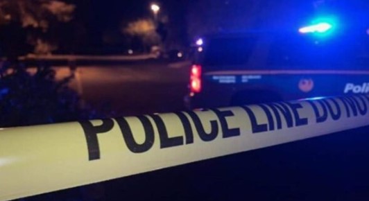 A mother is facing charges after her son was allegedly accidentally shot and killed at a Phoenix mo...