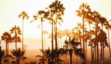 Most Dangerous Heatwave Of Summer Set To Scorch SoCal