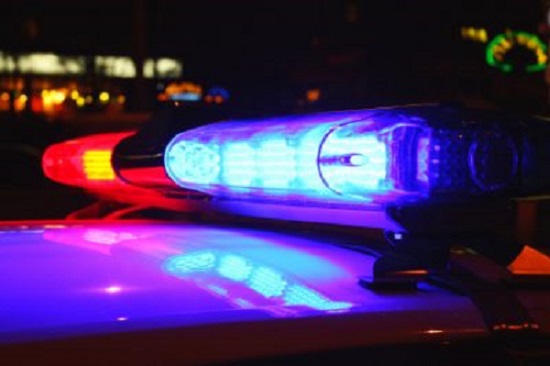 Two Jacksonville brawls lead to multiple arrests, citations – WLDS
