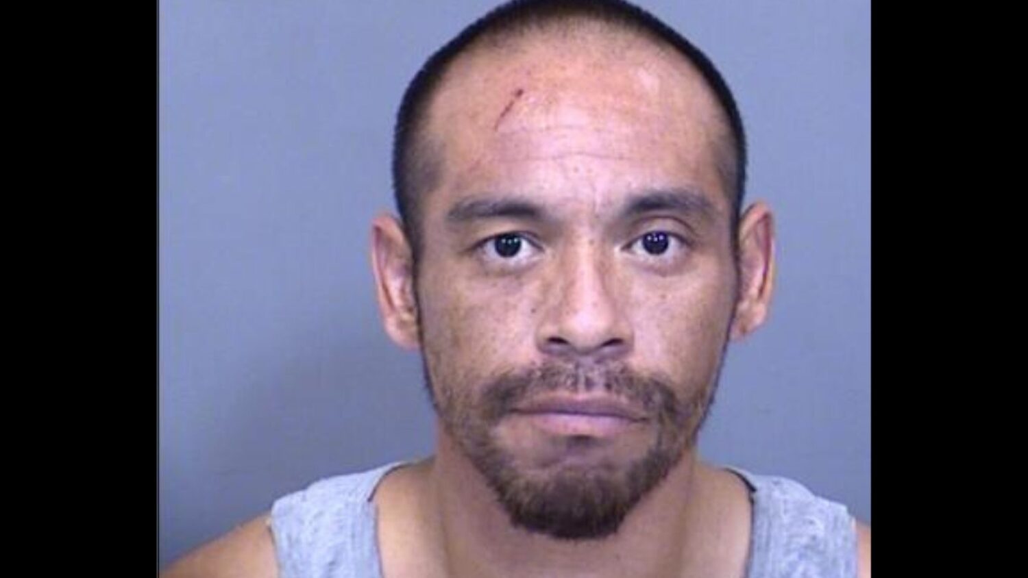 Phoenix library shooting that left 1 dead leads to arrest...