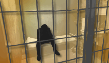 Summers Are Brutal in New York’s Prisons. This Year…