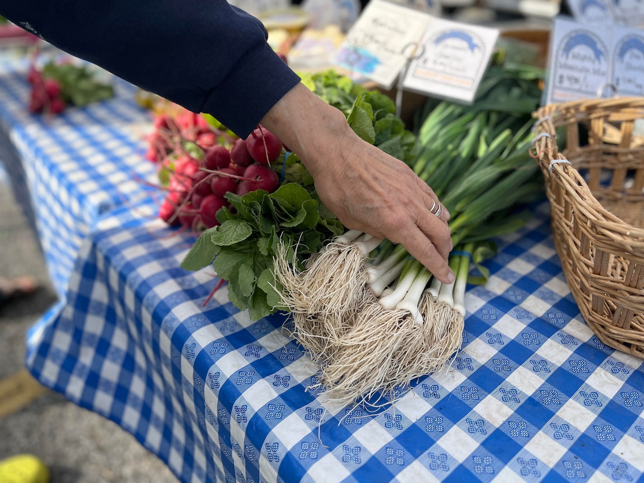 St. George Greenmarket