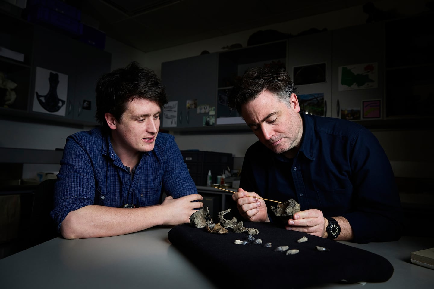 In this photo provided by Museums Victoria Ruairidh Duncan, left, and Erich Fitzgerald examined a partial fossil skull in the paleontology lab at Melbourne Museum.
