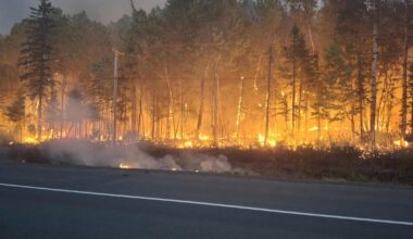 New Brunswick reports 16 active wildfires, two considered out of control - CTV News