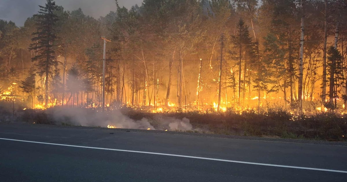 New Brunswick reports 16 active wildfires, two considered out of control - CTV News