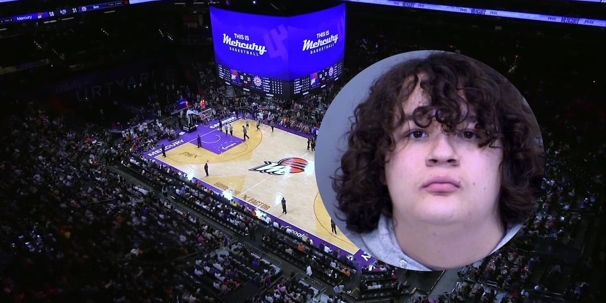 Man arrested after throwing sex toy at fans during WNBA game, hitting 9-year-old girl, police say