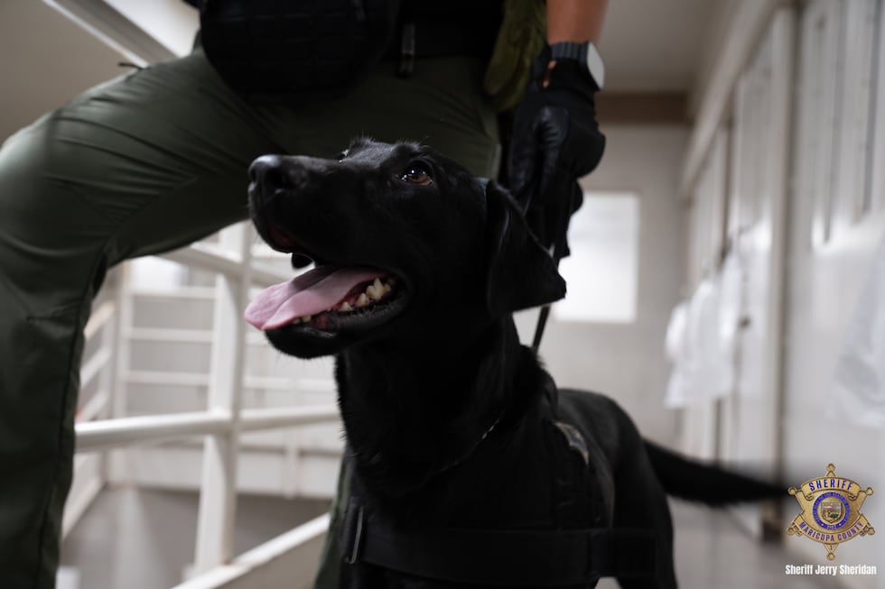 MCSO said a K-9 helped alert them to drugs at the 4th Avenue Jail on Aug. 14, 2025.