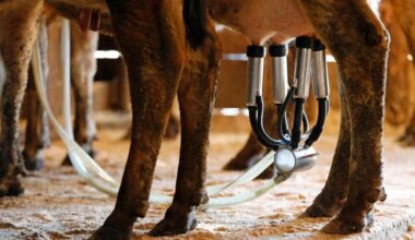 Raw milk sickens 21 people in Florida including 6 children