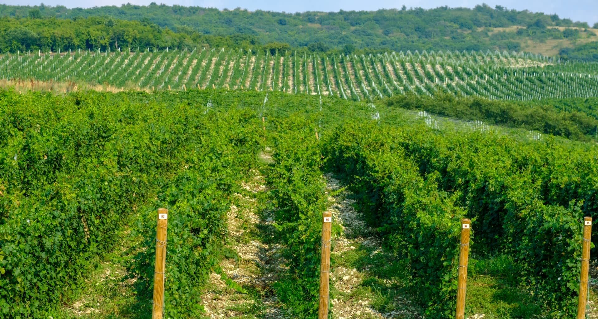 "The agricultural sector must always be prepared for changes in production and export."