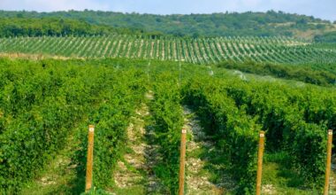 "The agricultural sector must always be prepared for changes in production and export."