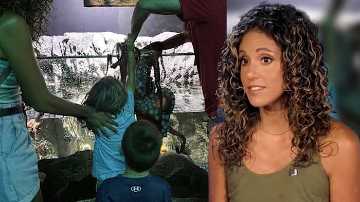 Mother responds to San Antonio Aquarium’s statement on viral octopus encounter