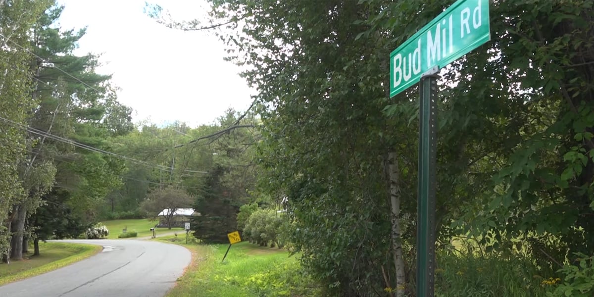 Officials warn of rabid foxes in Upper Valley