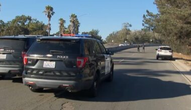 SDPD investigating if body found in Mission Bay is connected to earlier hit-and-run – NBC 7 San Diego