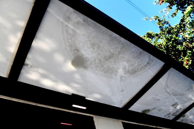 Bags of dog poop can be seen on the window...