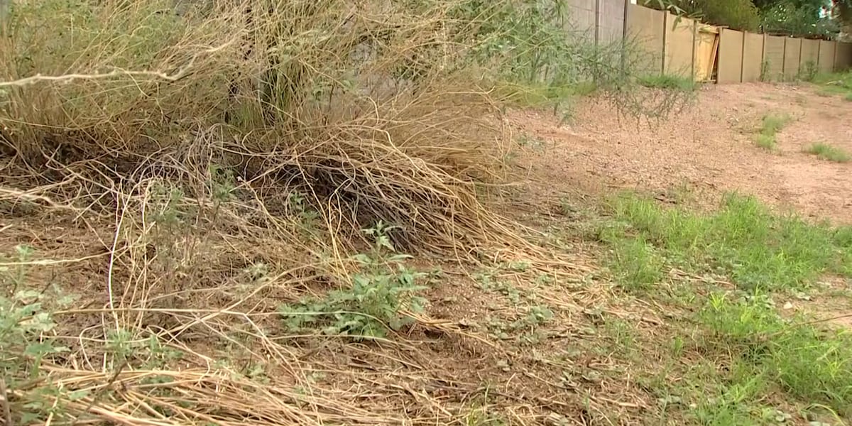 Phoenix homeowners demand cleanup of hazardous wash behind their homes