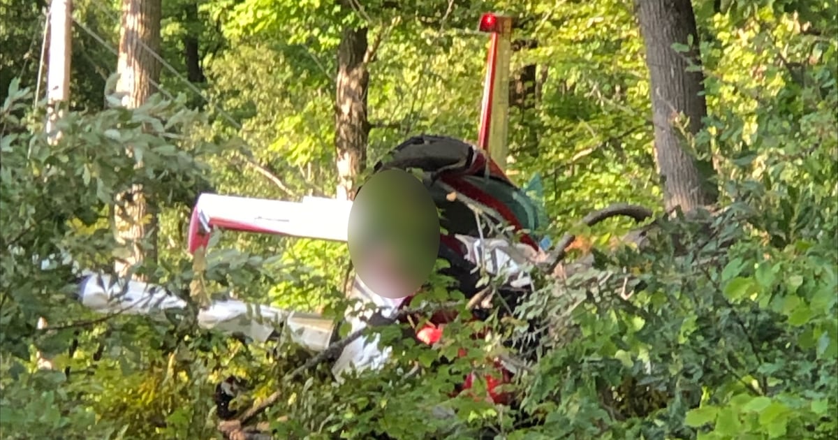 Small plane with 3 people on board crashes near Ottawa airport - CTV News