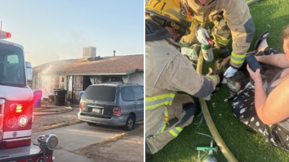 Firefighters rescued several cats while fighting a house fire in west Phoenix early Sunday.