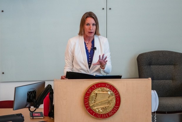 California State Senator Catherine S. Blakespear speaks during Senator Blakespear's 3rd Annual Ending Street Homelessness Summit on Aug. 13, 2025 at University of California San Diego in La Jolla, Calif. (Ariana Drehsler / For The San Diego Union-Tribune)