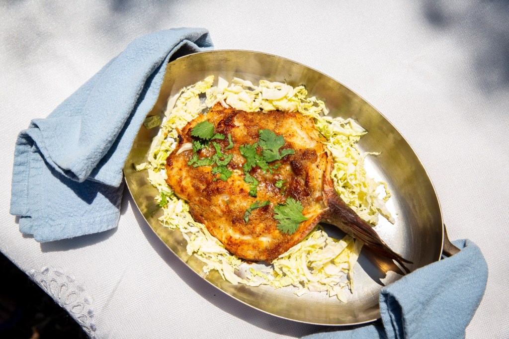 Cookbook celebrates the diversity, abundance of San Diego seafood – San Diego Union-Tribune