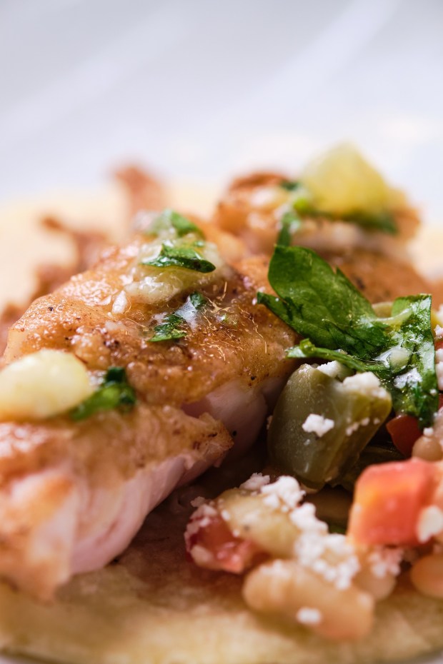 Fish in a tortilla, for Pan-Fried Fish With Citrus Relish, with recipe by Heather Ponchetti Daly of the Iipay Nation of Santa Ysabel. From "San Diego Seafood Then & Now." (Chris Rov Costa / Sunbelt Publications)