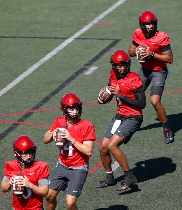 San Diego State quarterbacks Draiden Trudeau #16, JP Mialovski #14, Jayden Denegal #4 and Bert Emanuel Jr. #5 drop back during a practice on July 31, 2025 in San Diego, California. (K.C. Alfred / The San Diego Union-Tribune)