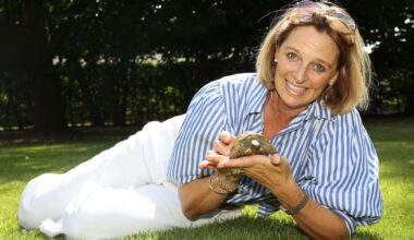 Escaped Tortoise Found One Month Later 3 Miles Away – After Going on the Run at 0.004 mph