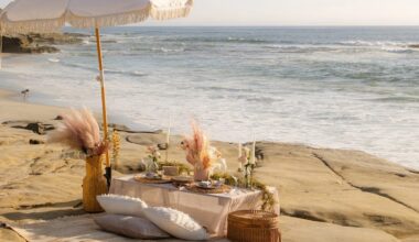 San Diego's best picnic spots at local parks featuring a beach picnic spot