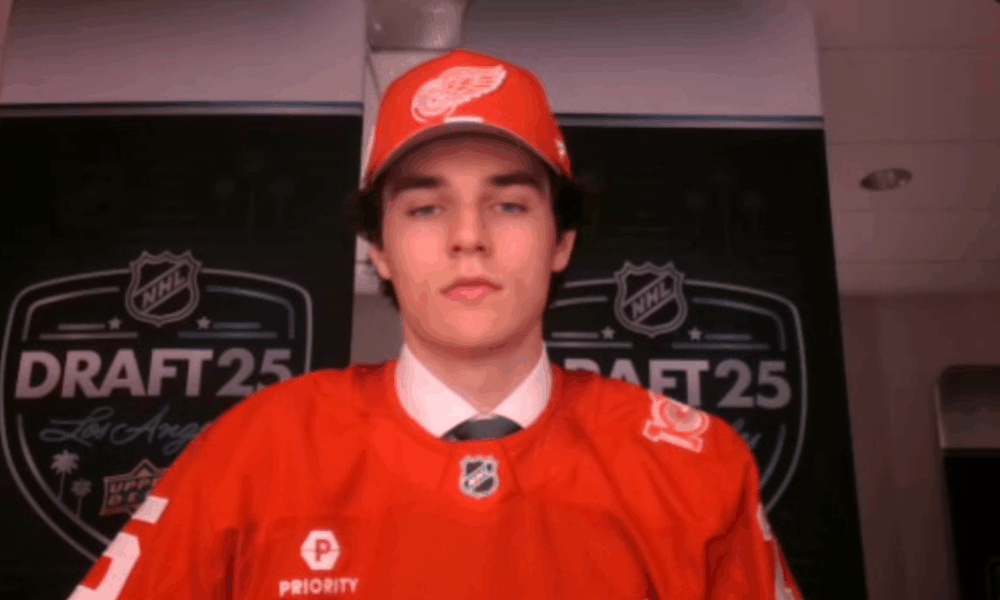 Michal Pradel, Red Wings