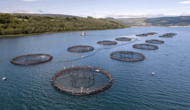 Aquaculture revolution: Fish farming and the promise of gene editing