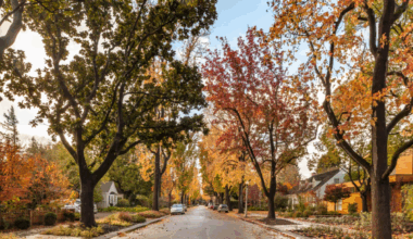 The hidden cost of living amid Mark Zuckerberg's $110M compound