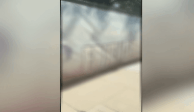 Swastikas spray-painted outside school elementary school under investigation – NBC Los Angeles