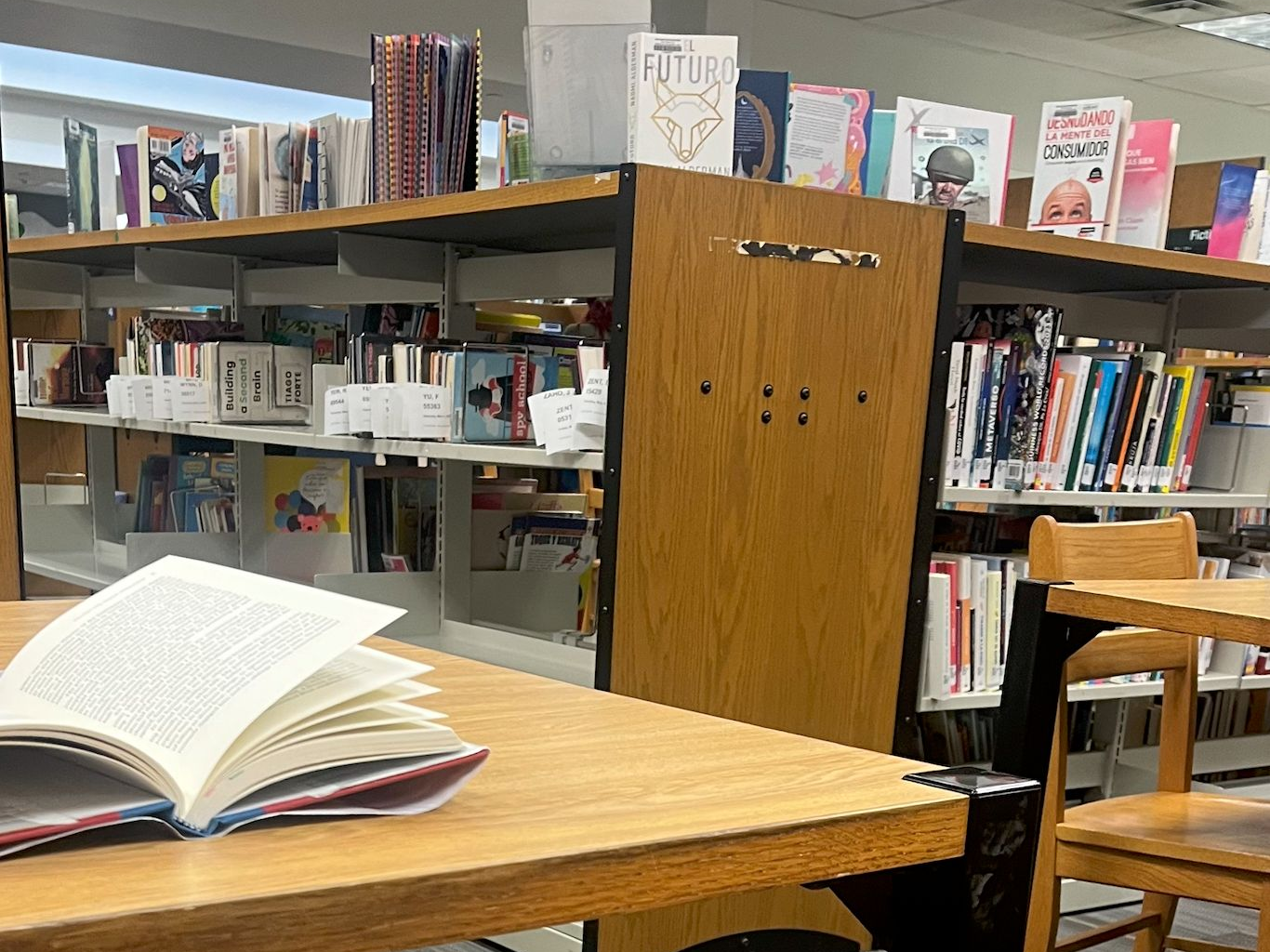 Dallas Library Closures Threaten Community Services