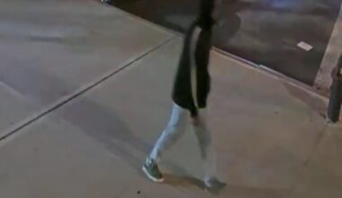 Creep slashed woman’s head in Bronx after she ignored his advances: NYPD