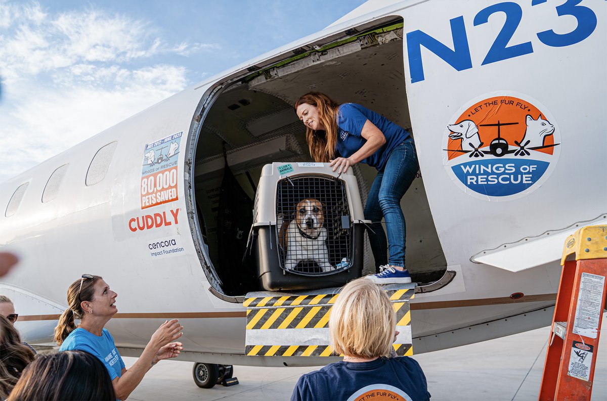 Hill Country Flood 2023: North Texas Pet Rescue Efforts