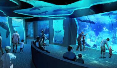 SeaWorld San Diego reimagining Shark Encounter