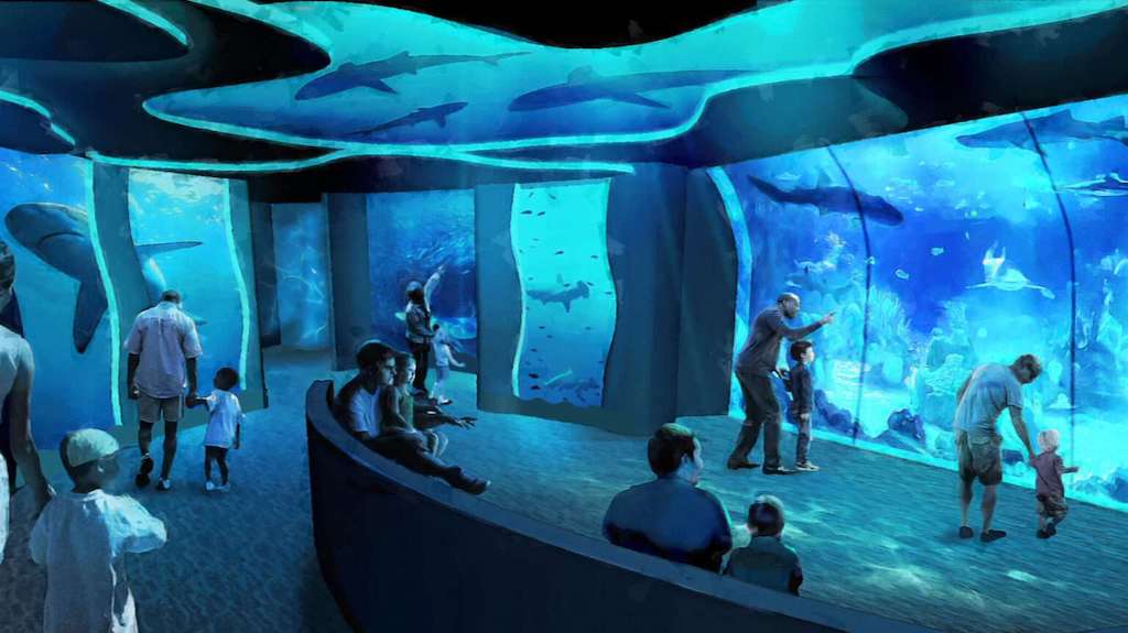SeaWorld San Diego reimagining Shark Encounter