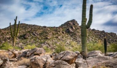 File photo for human remains found on South Mountain...