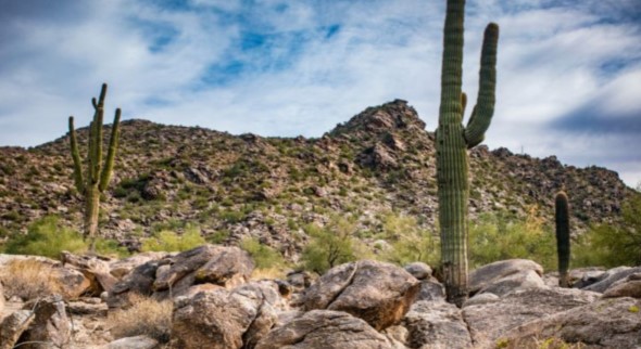 File photo for human remains found on South Mountain...