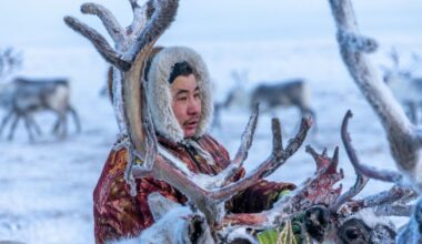 Ancient DNA unlocks Estonian, Finn, Hungarian secrets
