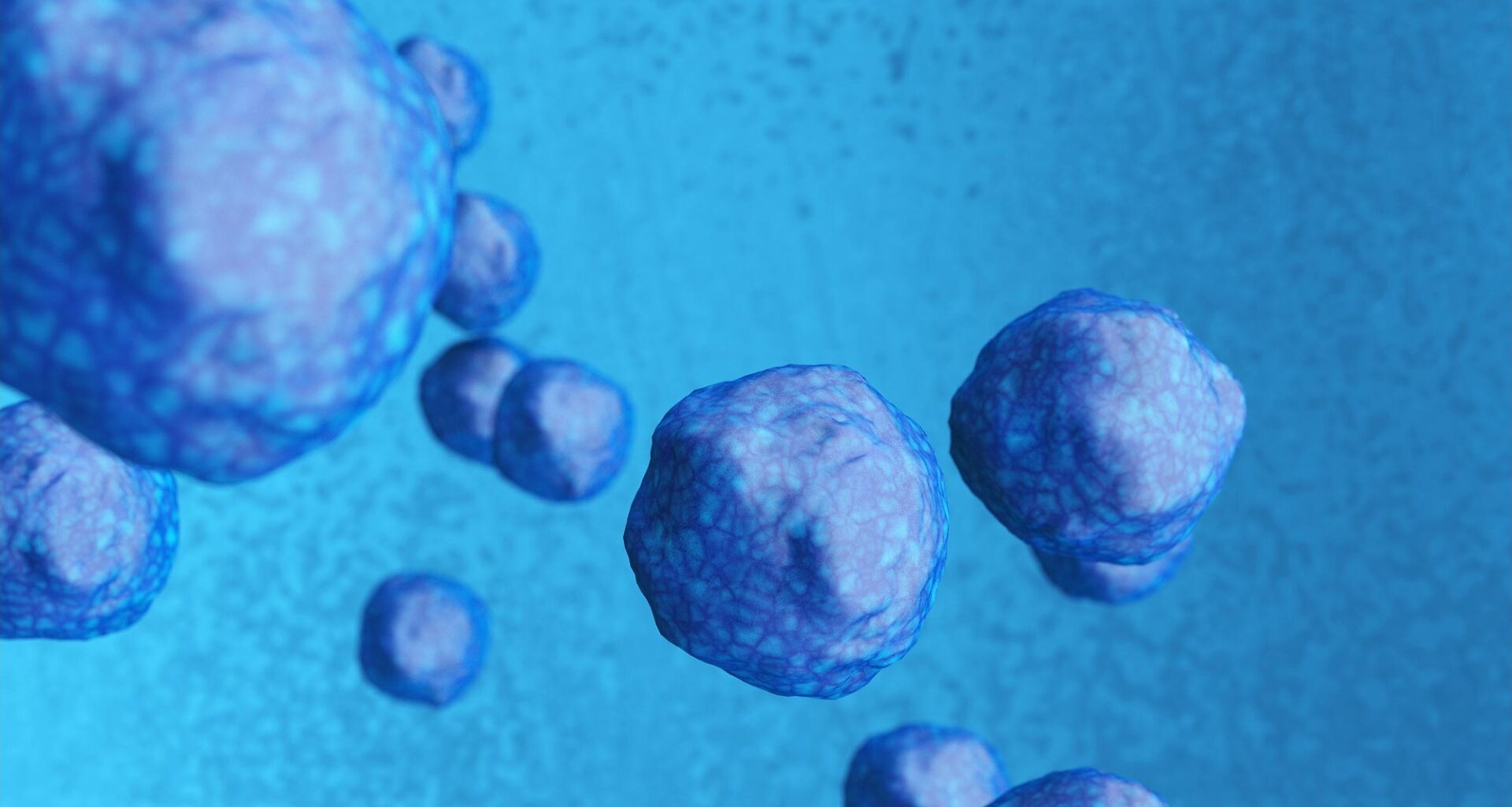 Stem Cells Illustration