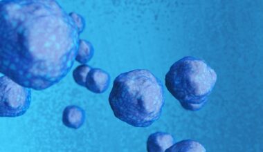 Stem Cells Illustration