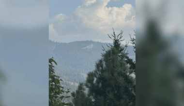 ‘This fire didn’t have to happen’: Human-caused wildfires raise alarm in West Kelowna