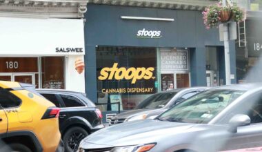 Stoops NYC Dispensary in Flatiron Now Stocks Silly Nice’s Best-Selling Products 3