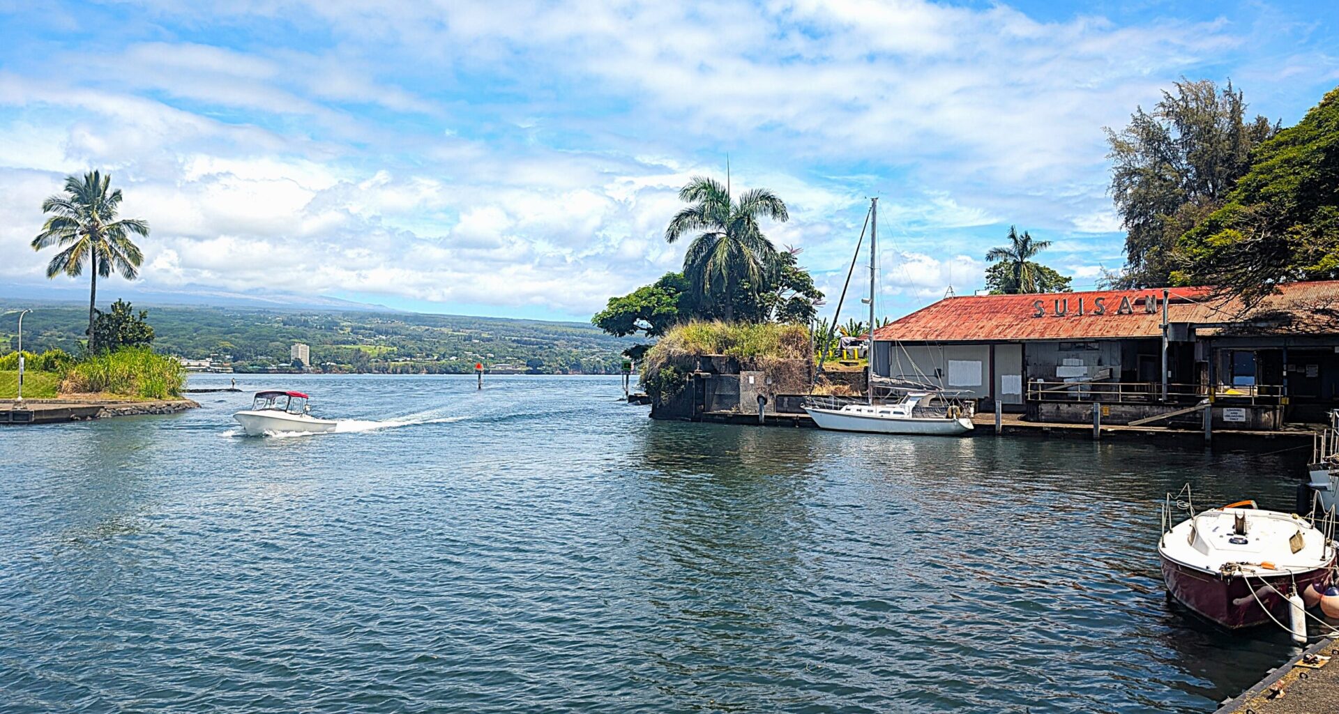 Will Bailey: Why East Hawai‘i's Fishery Has Fallen On Hard Times