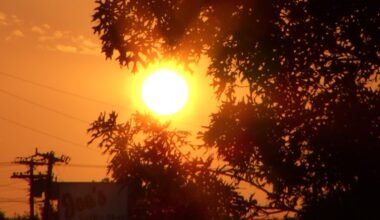 USC launches Shade Zones Design Competition – NBC Los Angeles