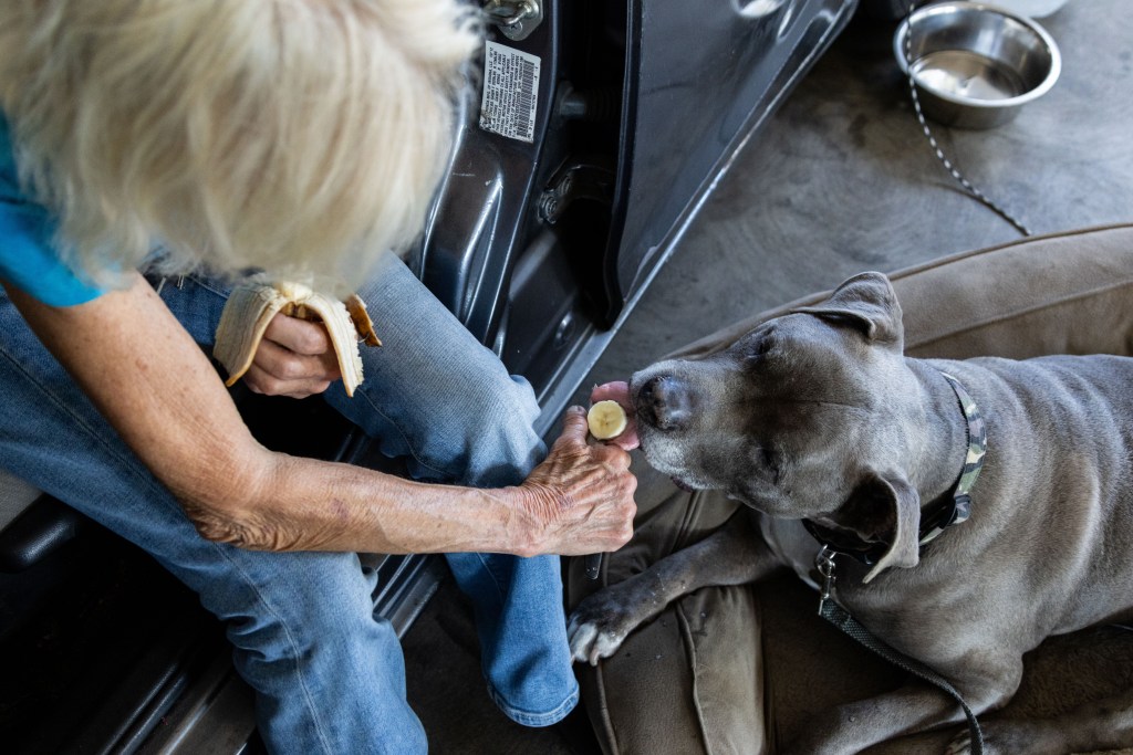Susan feeds her dog, Ninja, a slice of banana off a knife in a Parkway Plaza parking garage in El Cajon on Thursday, July 24, 2025. / Brittany Cruz-Fejeran for Voice of San Diego