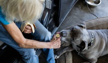 The Faster, Cheaper Way Homeless People Are Getting Housed