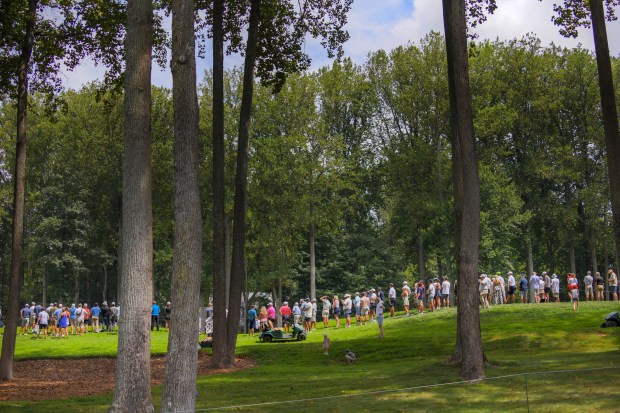 A ridge of spectators along the fairway to watch Scottie...