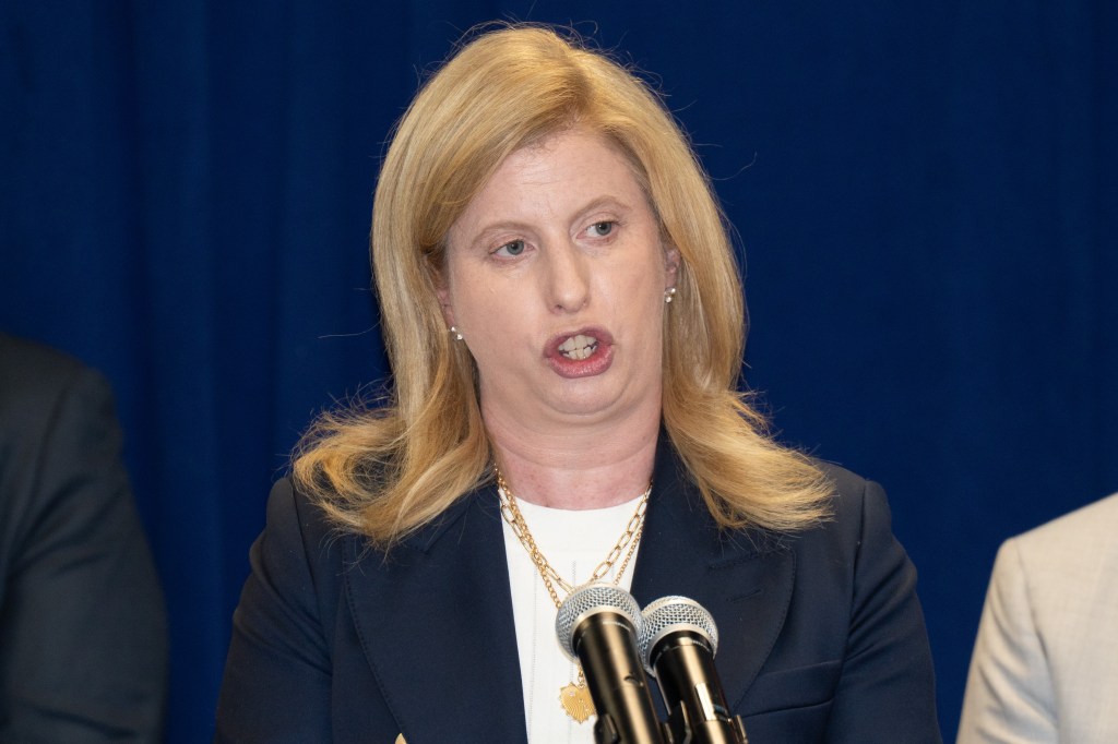 NYPD Police Commissioner Tisch calls on state to do more to combat NYC's mental health crisis