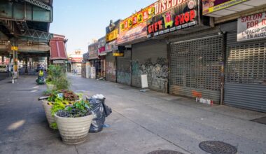 Man, 33, fatally shot in head on Bronx street